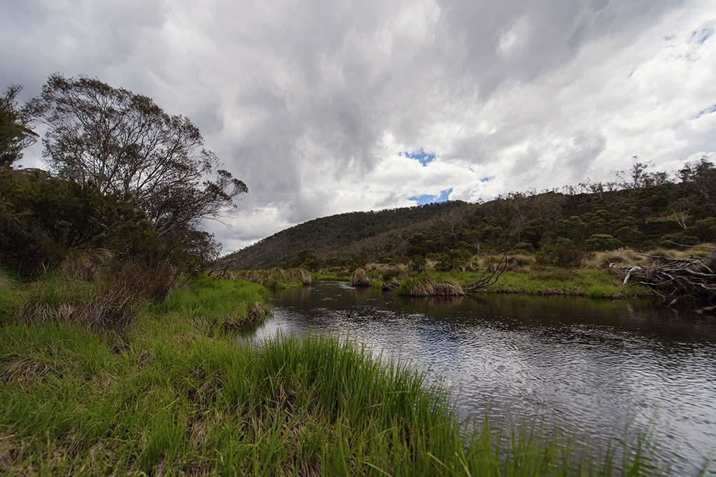 Rainbow Pines Tourist Caravan Park Adaminaby Kültér fotó