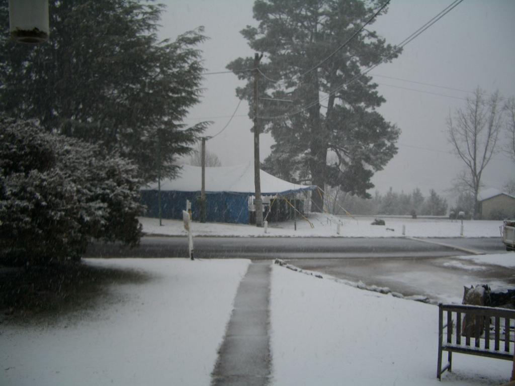 Rainbow Pines Tourist Caravan Park Adaminaby Kültér fotó